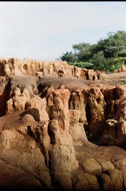 Orange eroded pillars and a green tree above, vertical film frame