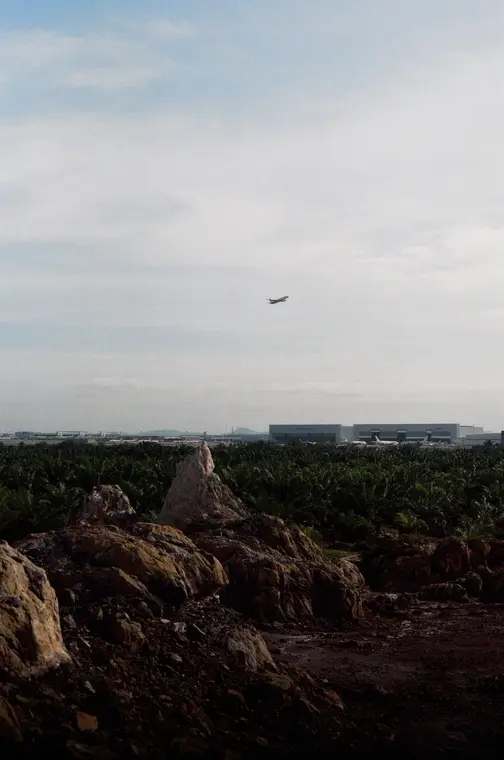 A plane above rocks and oil palms, vertical frame