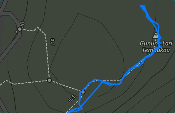 The trail line on the Gaia GPS map