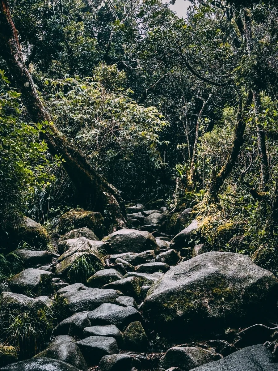 Mount Kinabalu photo by Kay Du