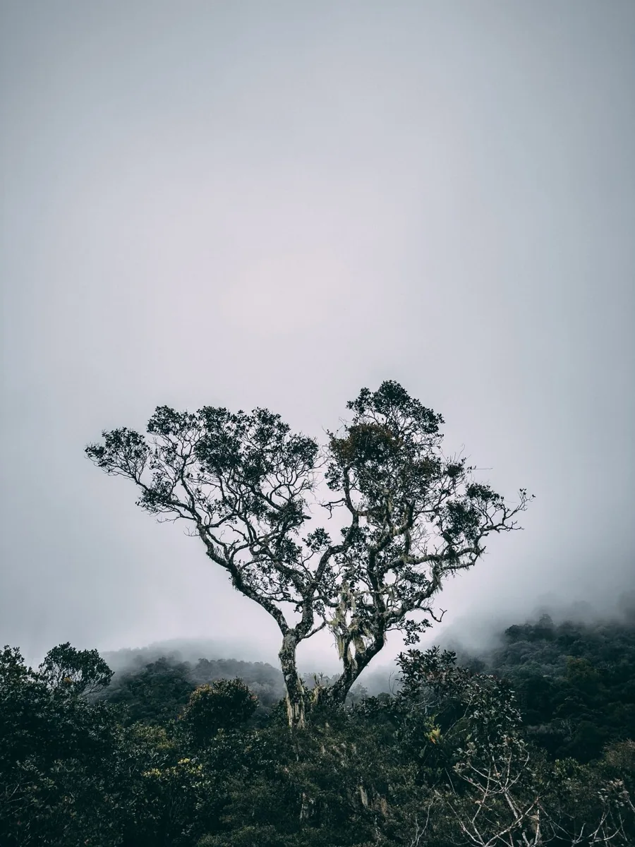 Mount Kinabalu photo by Kay Du