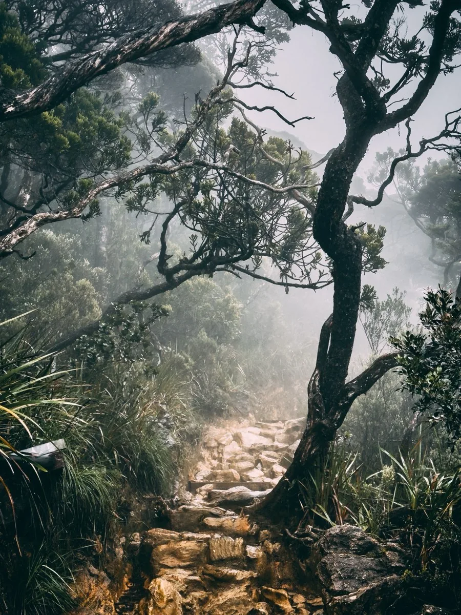 Mount Kinabalu photo by Kay Du