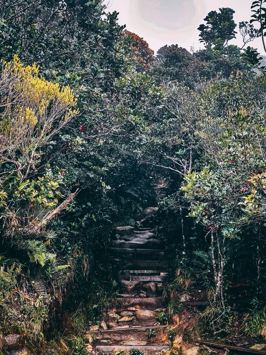 Mount Kinabalu photo by Kay Du