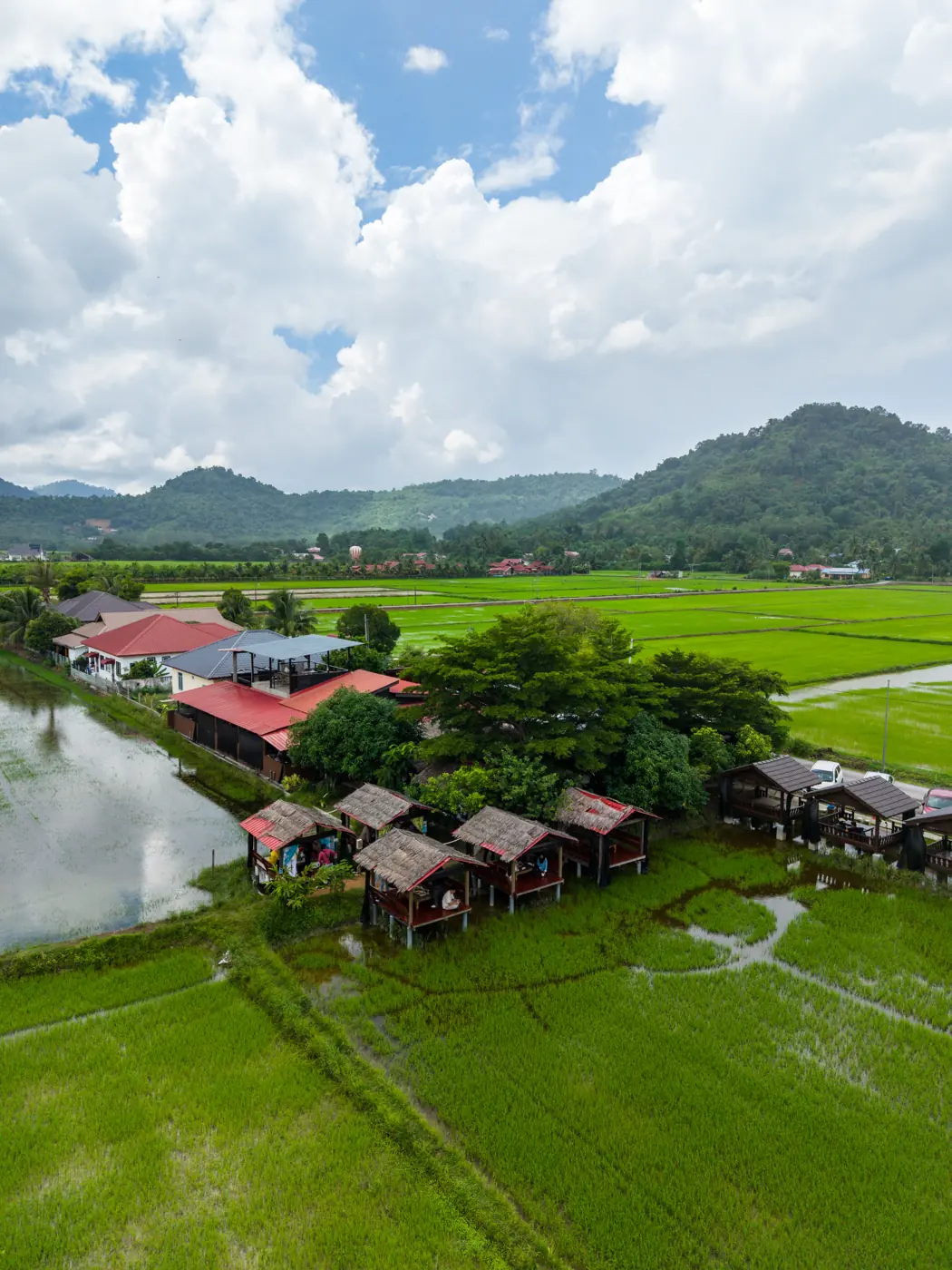 Traditional huts and paddy fields at Dangau Langkawi