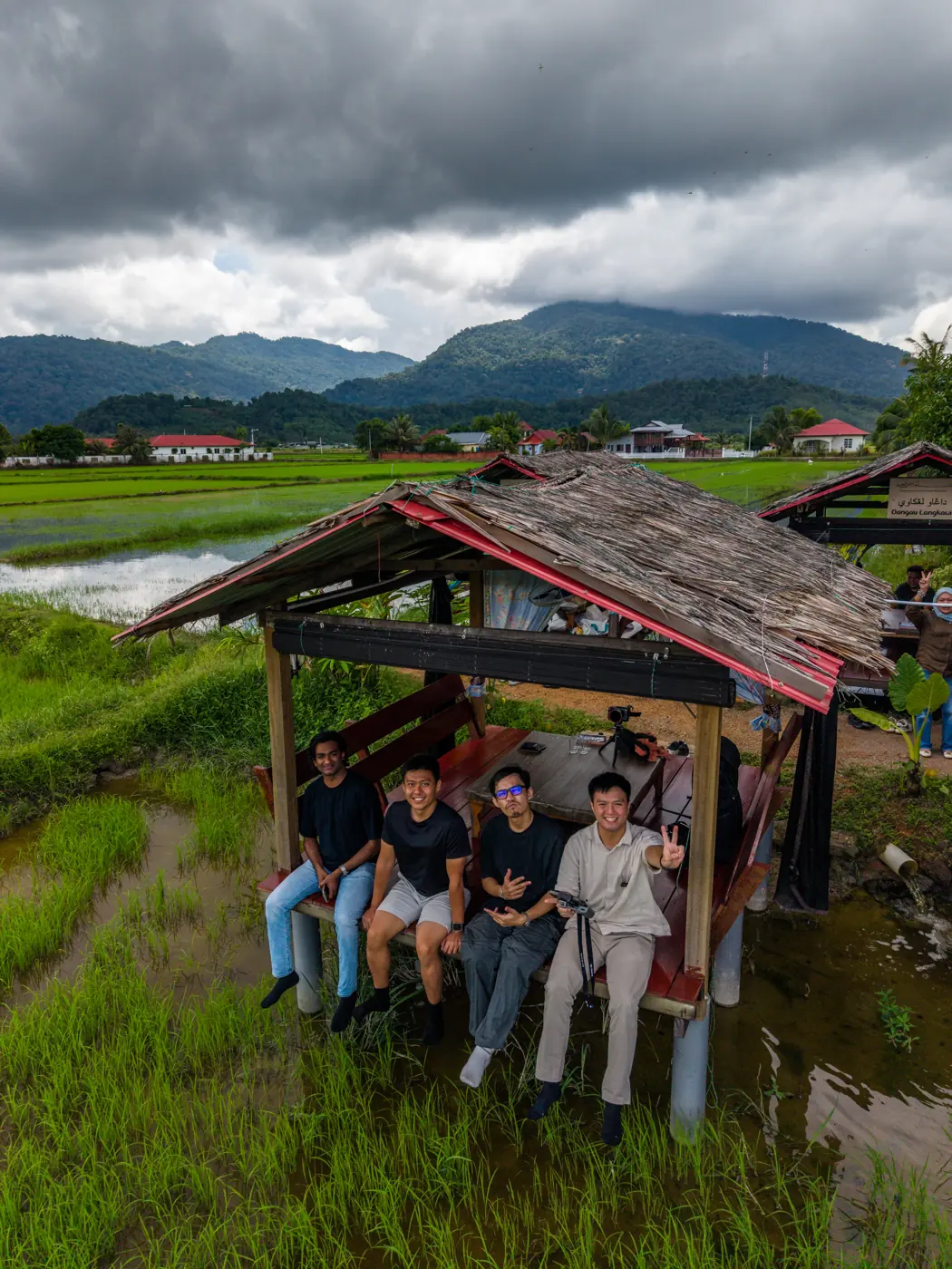 Aerial of paddy fields and kampung houses in Langkawi