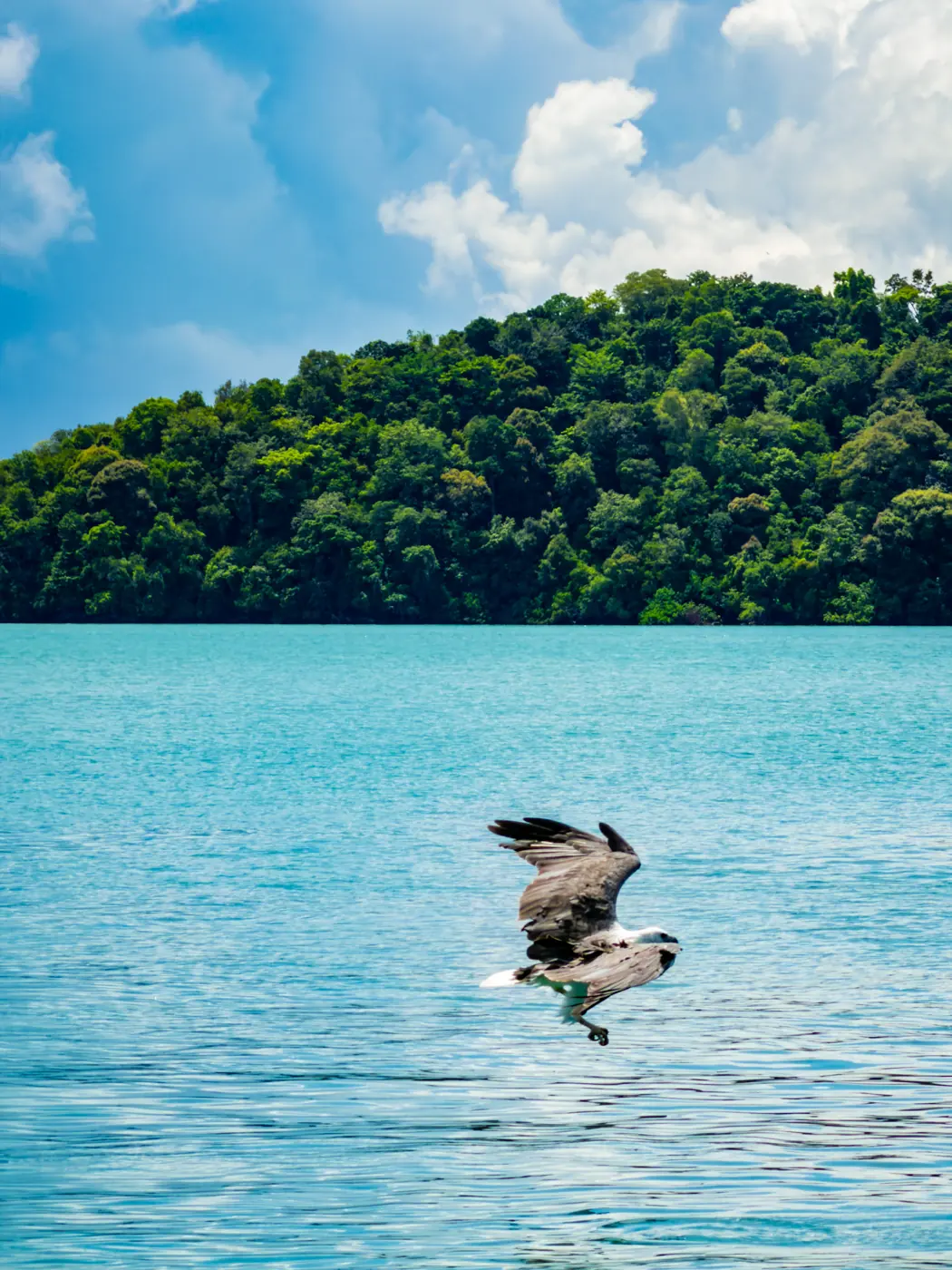 Green island and calm sea in Langkawi