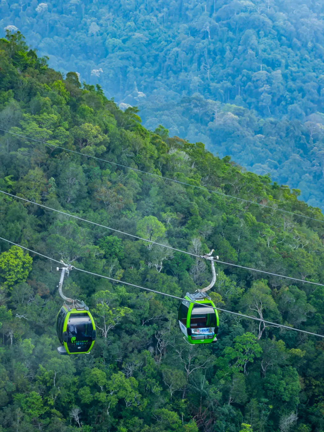 Langkawi SkyCab gondolas above the rainforest