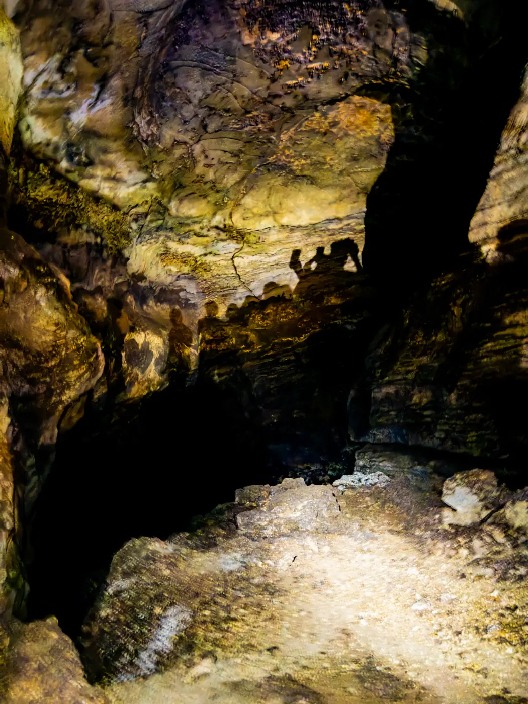 Inside Gua Pinang cave on the Kubang Badak BioGeoTrail