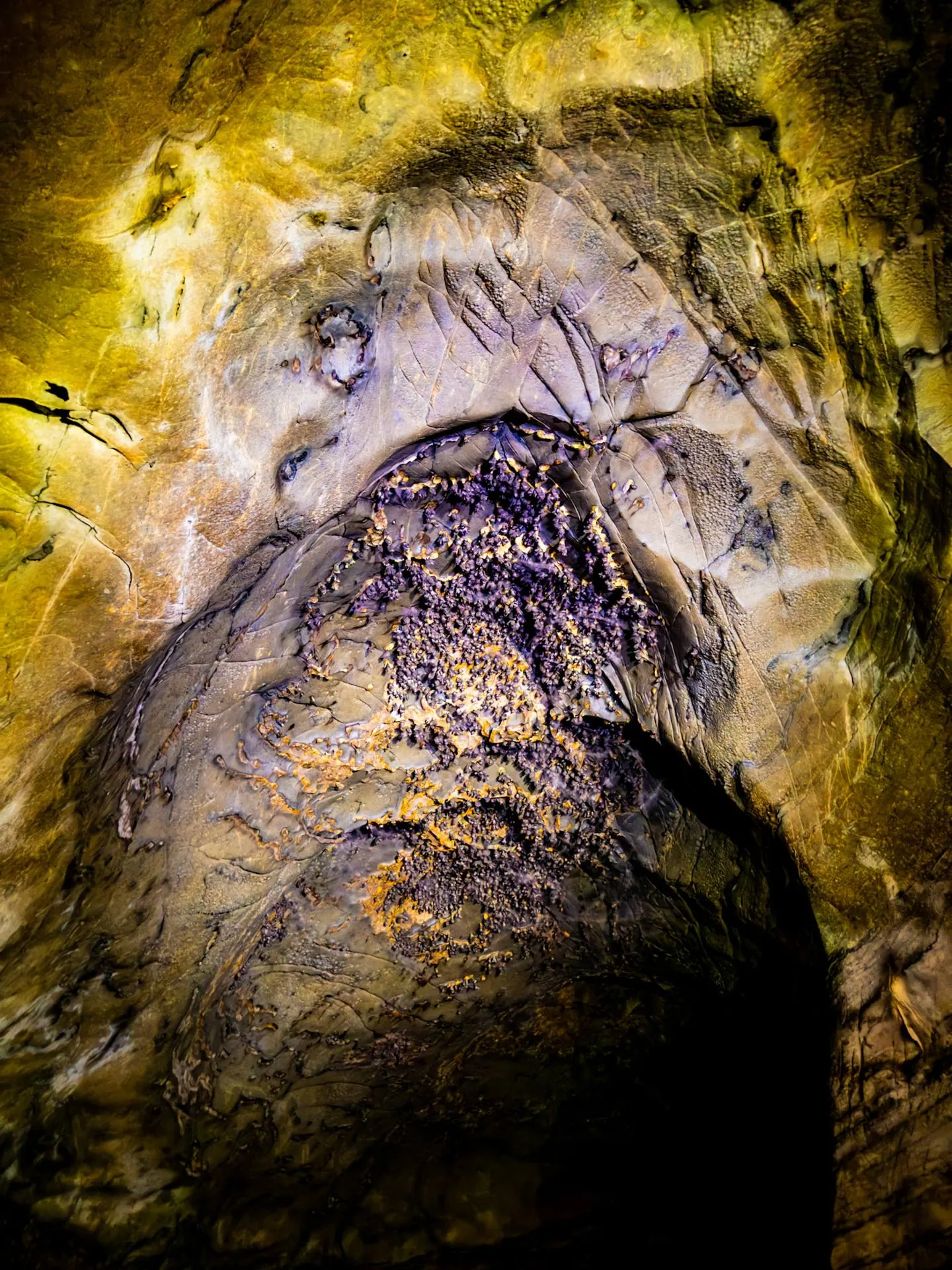 Inside Gua Pinang cave on the Kubang Badak BioGeoTrail, Langkawi