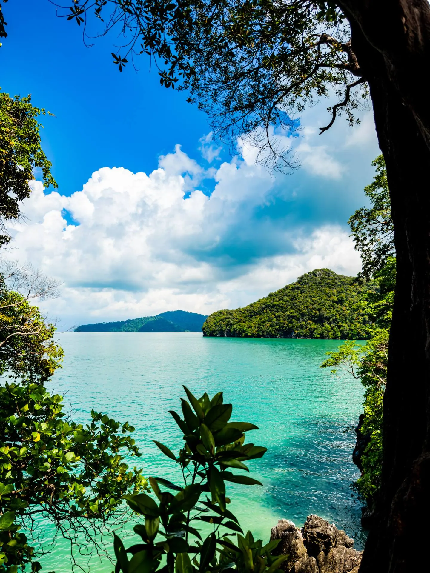 Turquoise sea and green islands of Langkawi framed by trees