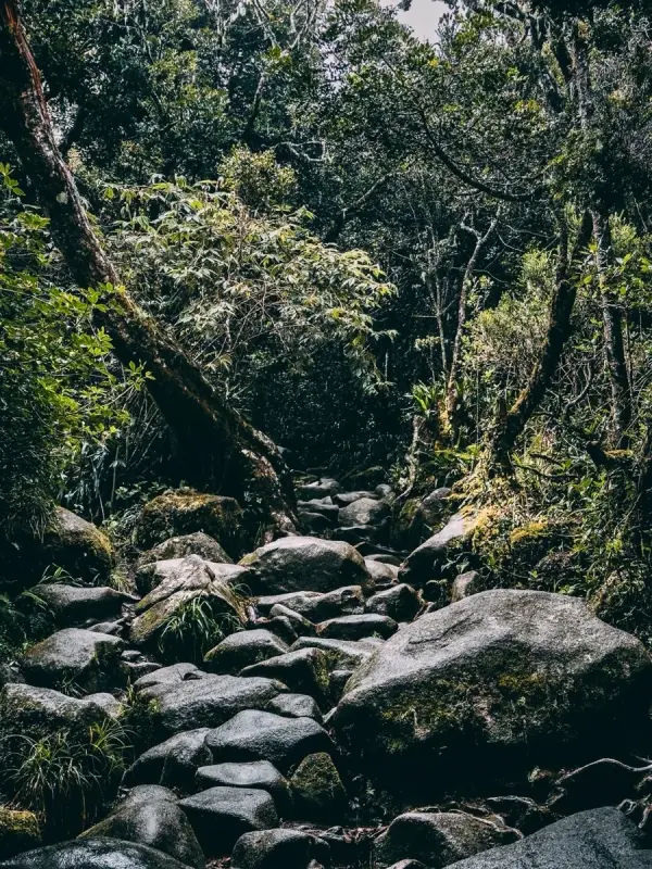Mount Kinabalu photo by Kay Du