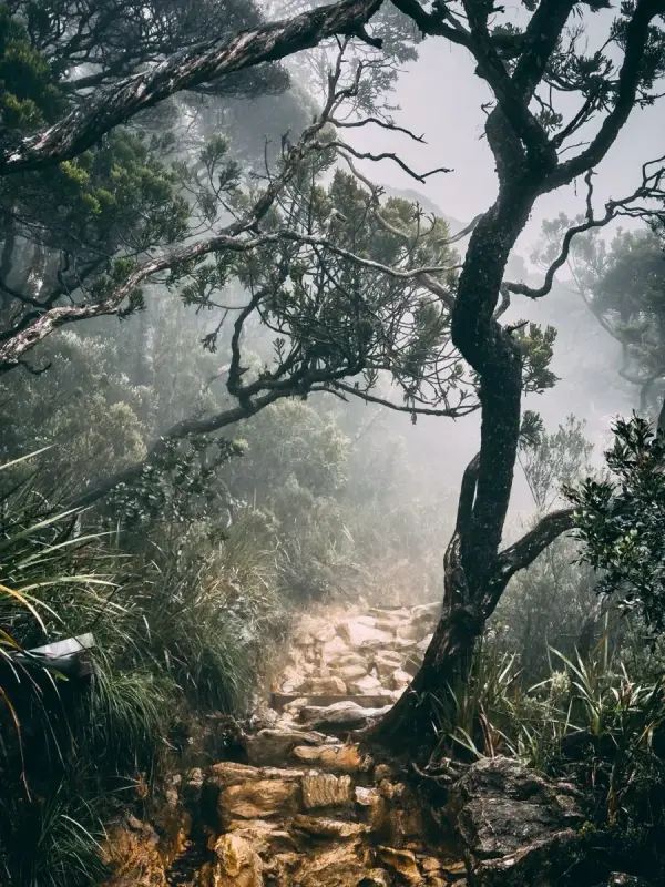 Mount Kinabalu photo by Kay Du