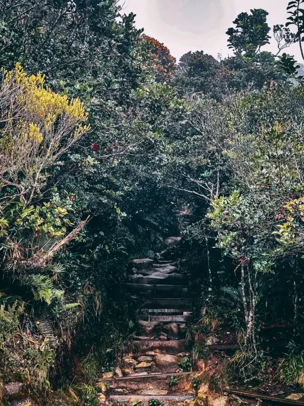 Mount Kinabalu photo by Kay Du