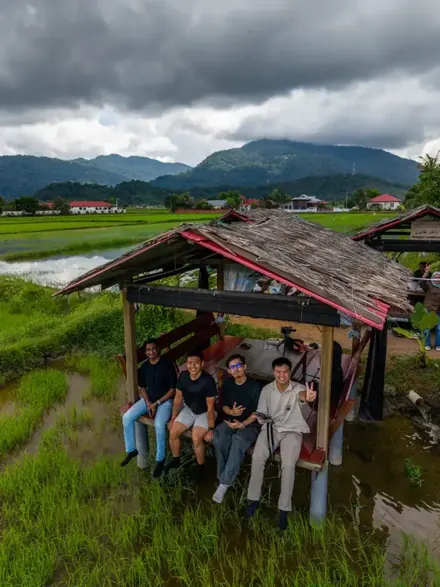 Aerial of paddy fields and kampung houses in Langkawi